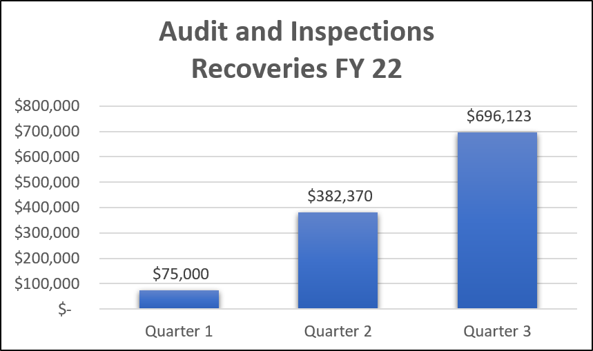 Audit Recoveries